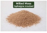 Sphaigne moulue
