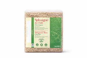 Expert — 1 kg