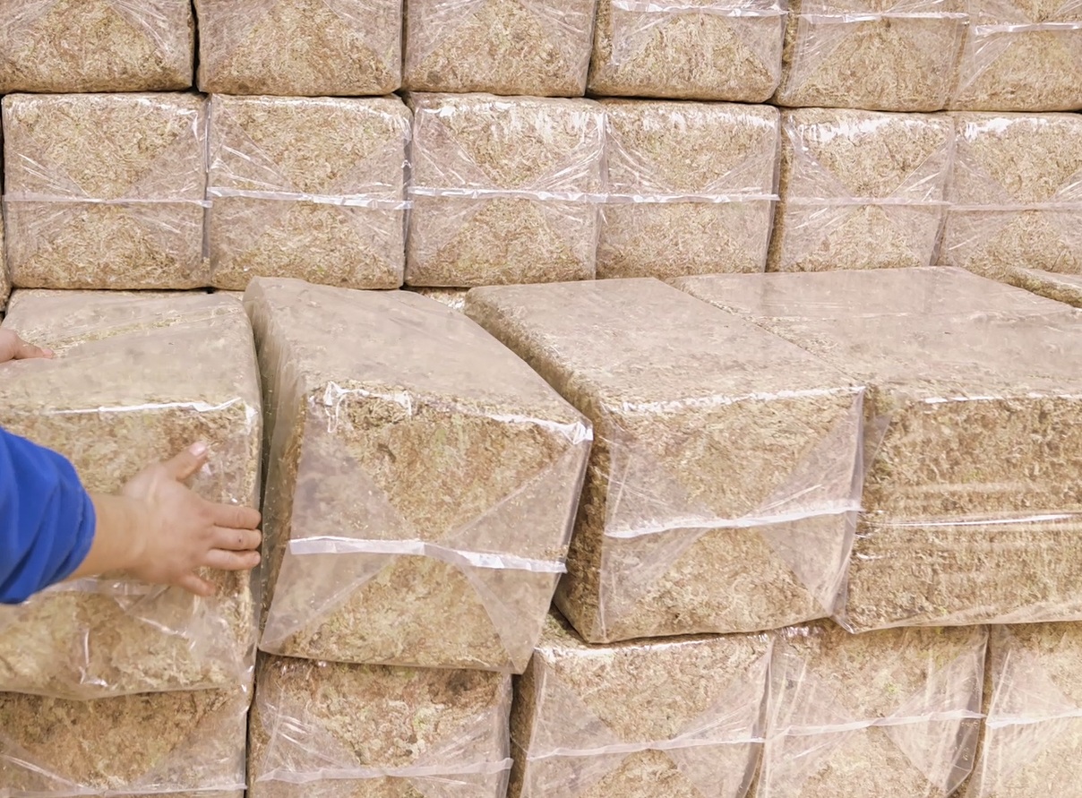 Export & Distribution